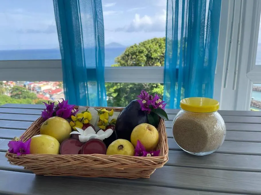 Apartament L'Escale Des Roches Gravees Trois-Rivières